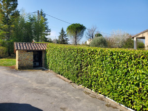 Photo de galerie - Haie de laurier taillée