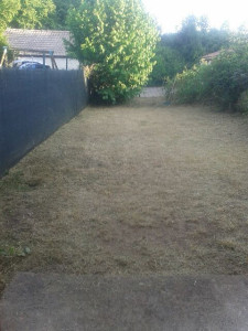 Photo de galerie - Jardinier