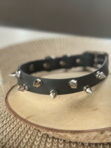 Photo de galerie - Je suis petsitter et créatrice d’accessoires pour animaux de compagnie en biothane : maplusbellehistoire.fr