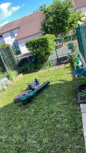 Photo de galerie - Tonte de pelouse - Débroussaillage
