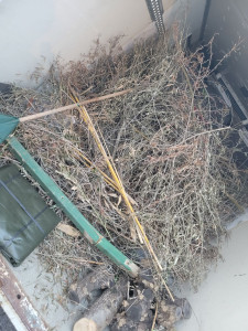 Photo de galerie - Enlèvement de déchets verts à domicile.