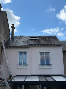 Photo de galerie - Toiture avant nettoyage complet 