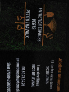 Photo de galerie - Taille de haie et d'arbustes -tonte de pelouse débroussaillage _jardinier_maconnerie_