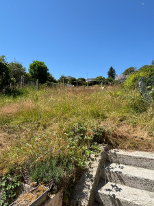 Photo de galerie - Travail réalisé: Débroussaillage/ abattage d’un arbre 
