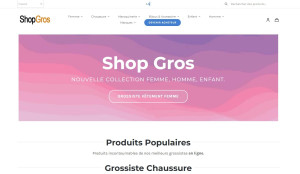 Photo de galerie - Shopgros.com, plateforme de grossiste en Europe avec multi vendeur, création site internet et référencement naturel.