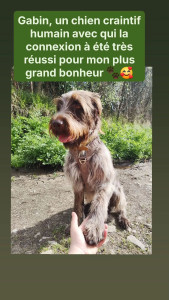 Photo de galerie - Garde animaux