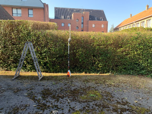 Photo de galerie - Rabattage de haie de troëne