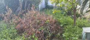 Photo de galerie - Paysagiste - Aménagement du jardin