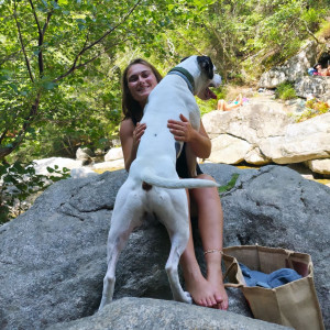 Photo de galerie - *