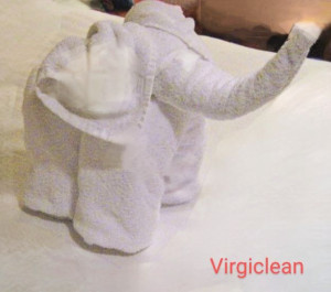 Photo de galerie - Préparation - nettoyage de salle