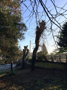 Photo de galerie - Après 