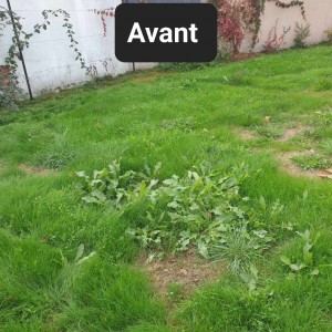 Photo de galerie - Entretien du jardin , tonte de pelouse 