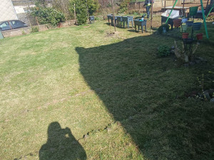 Photo de galerie - Tonte de pelouse - Débroussaillage