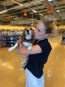 Photo de galerie - Garde chien