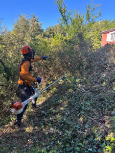 Photo de galerie - Débroussaillage réglementaire contre incendie 