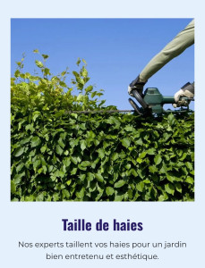 Photo de galerie - Taillage de toutes haie