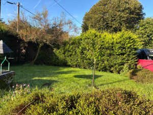 Photo de galerie - Elagage et coupe d'arbres