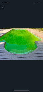 Photo de galerie - Entretien piscine