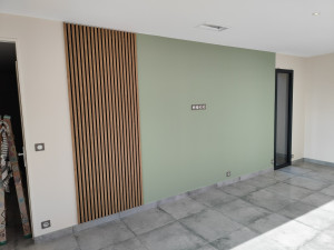 Photo de galerie - Mur d'un grand salon...