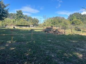 Photo de galerie - Fabrication et pose  clôture pour chevaux 