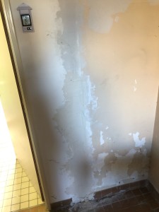 Photo de galerie - Peinture / Enduit