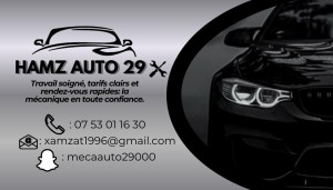 Photo de galerie - Diagnostic professionnel