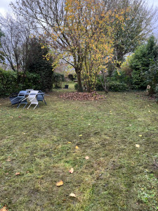 Photo de galerie - Tonte et taille de haies