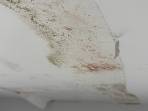 Photo de galerie - Peinture - Tapisserie
