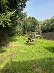 Photo de galerie - Tonte de pelouse - Débroussaillage