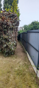 Photo de galerie - Taille d’une haie ( après )