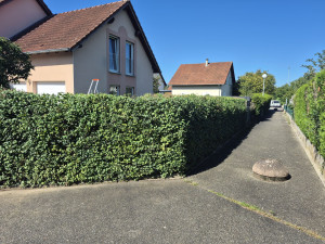 Photo de galerie - Taille de haie 