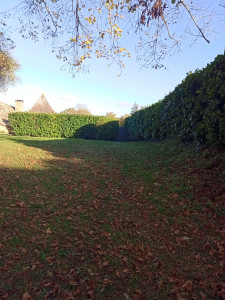 Photo de galerie - Taille tonte de pelouse 


