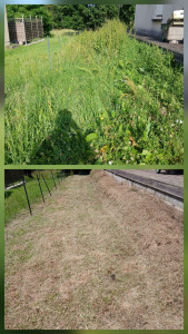 Photo de galerie - Remise en état d'un jardin sur la commune de Verdelais 
