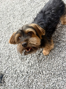 Photo de galerie - Jazz