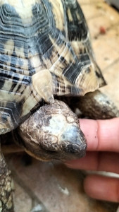 Photo de galerie - Petites papouilles...