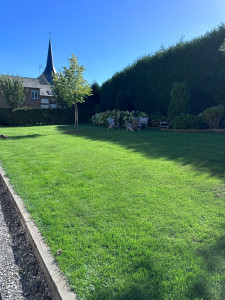 Photo de galerie - Tonte gazon 