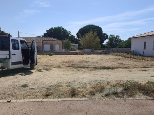 Photo de galerie - Débroussaillage d'une parcelle de 700 m2