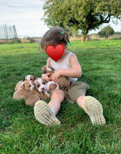 Photo de galerie - Moment de douceur avec ma fille et les chiots