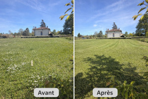 Photo de galerie - Tonte chez un client avant après