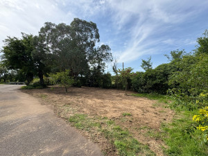 Photo de galerie - Nettoyage Terrain (Après) 