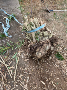 Photo de galerie - Avant 