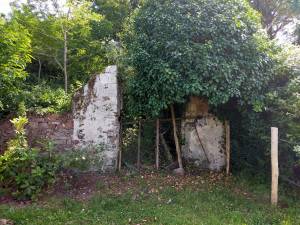 Photo de galerie - .