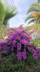 Photo de galerie - Paysagiste - Aménagement du jardin