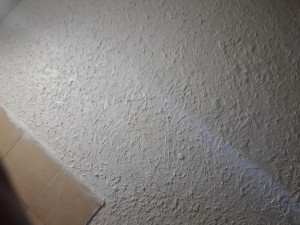 Photo de galerie - Peinture - Tapisserie