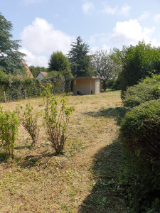 Photo de galerie - Jardin 1200m2
debroussailleuse 
tondeuse 
taille haie
tronçonneuse 