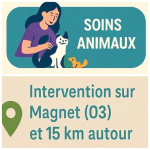 Photo de galerie - Service soins aux animaux 