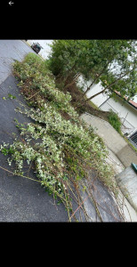 Photo de galerie - Évacuation des déchets, gravats..