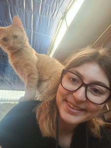 Photo de galerie - Garde chat