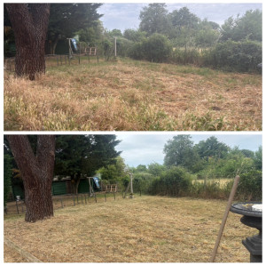 Photo de galerie - Tonte de pelouse - Débroussaillage