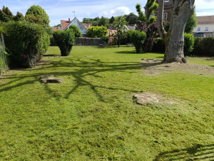 Photo de galerie - Jardin après 